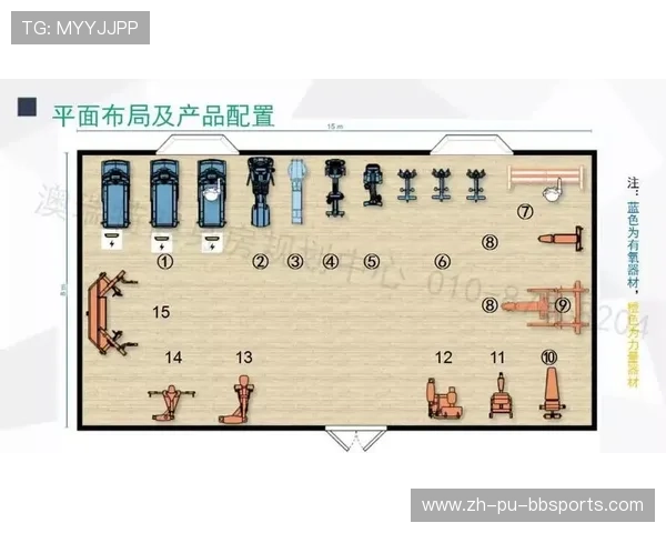 高效健身指南健身房常见器械使用规范与训练方案